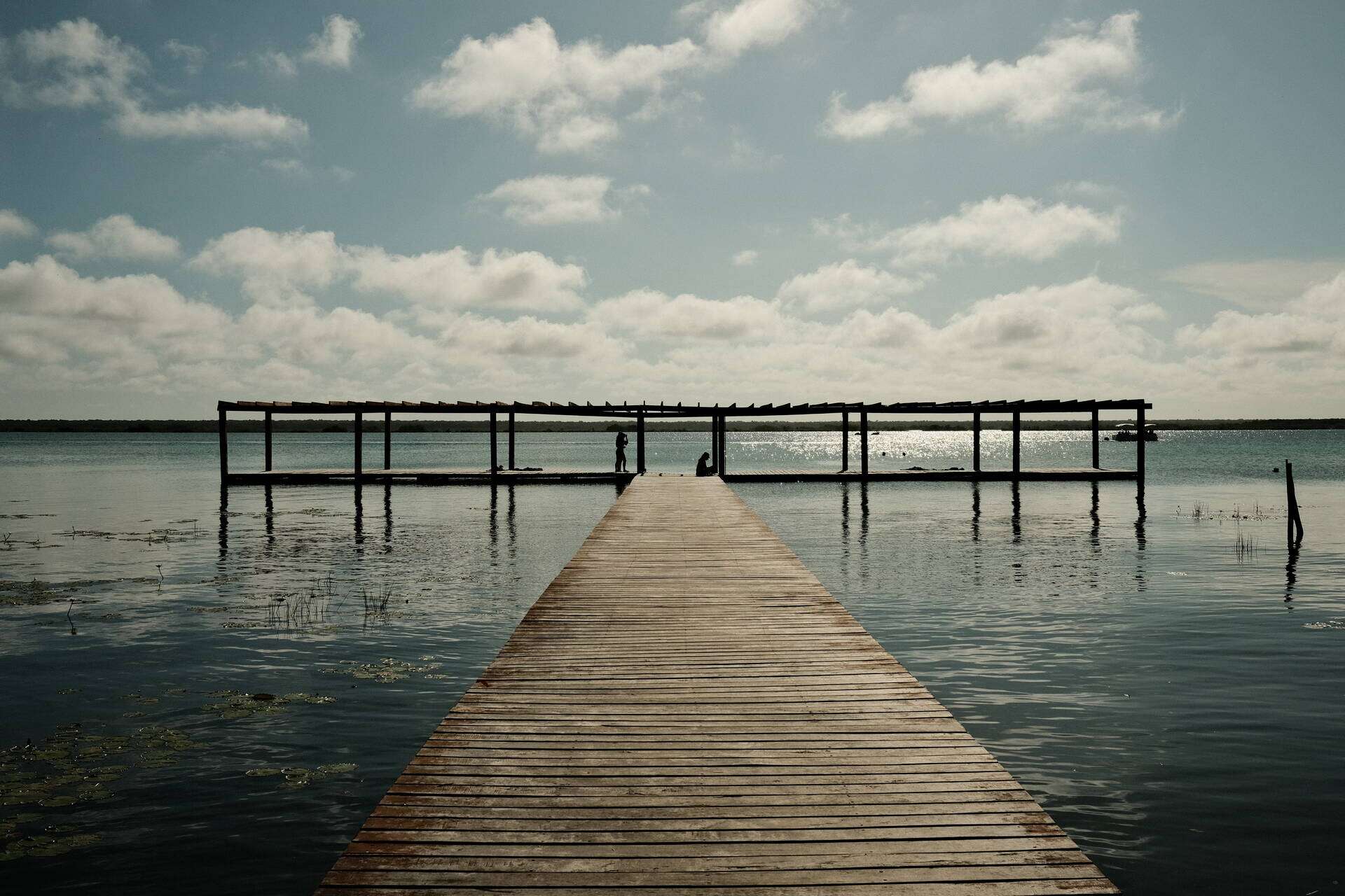 Licensing Background